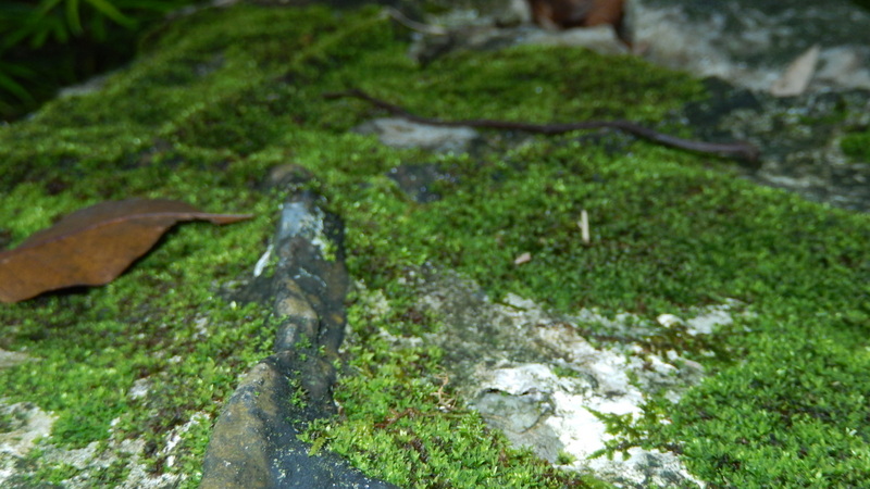 0773 DSCN0701